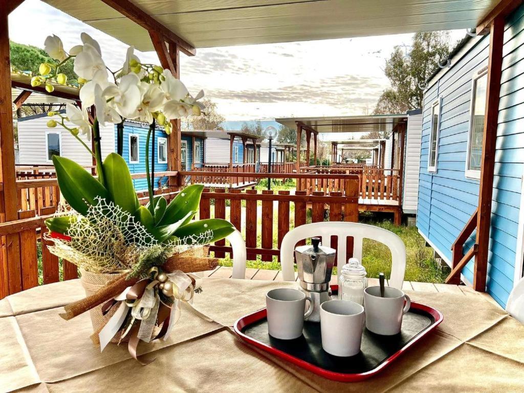 Camping Village Tuscia Tirrenica Tarquinia Esterno foto